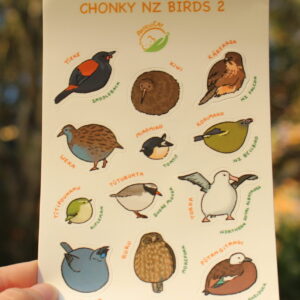 Chonky Friends - New Zealand Birds 2