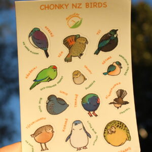 Chonky Friends - New Zealand Birds 1
