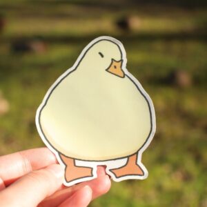 Duck